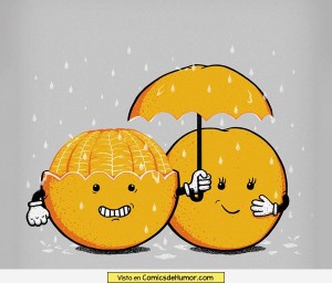 pareja-de-naranjas
