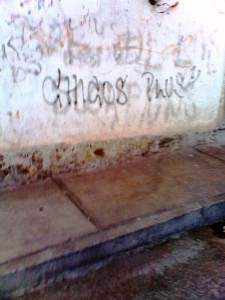 Los chicos Plus La hermandad de los Plus.