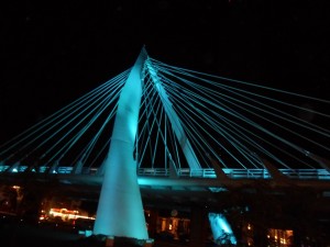 Puente Matute Remus, Guadalajara, Jalisco